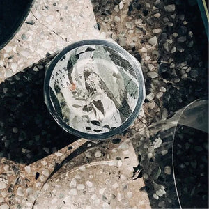 somesortof.fern 3.5cm Glossy PET Tape - The Lovely Days with Leaves