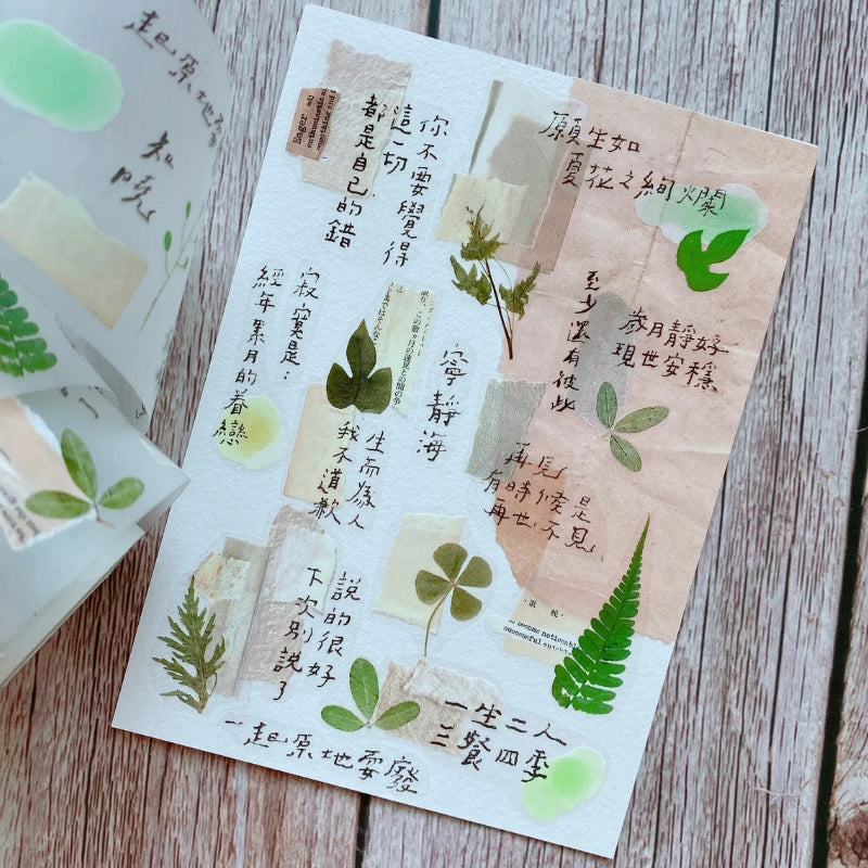 Shiwu Studio 5cm Matte PET Tape - Collage 08