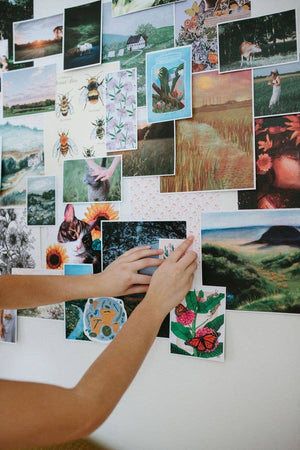 Cut+Paste Magazine - "Meadow" - Issue 01