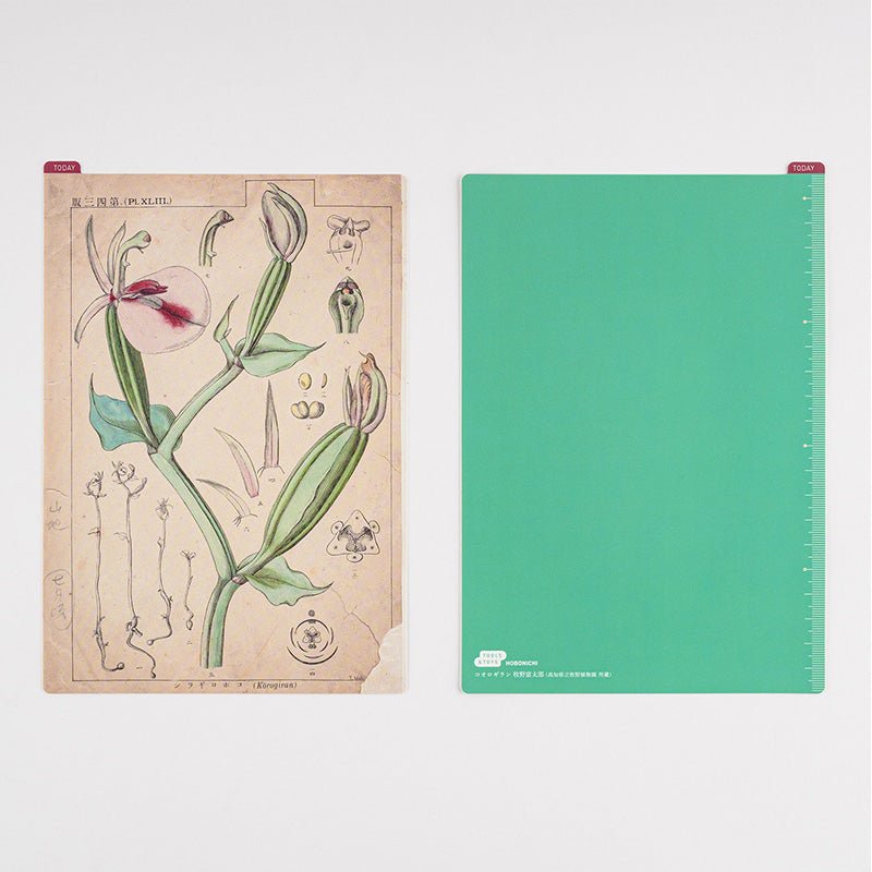 2024 Hobonichi A5 Pencil Board - Tomitaro Makino - Paper Plus Cloth