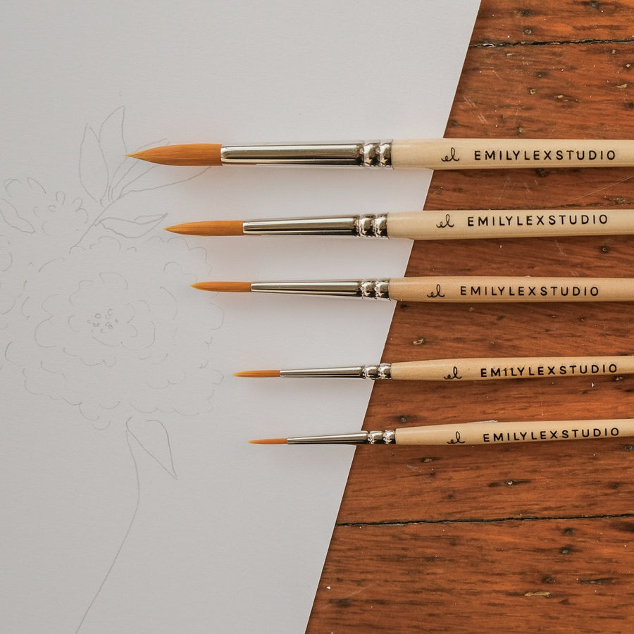 emily lex studio - Watercolor paintbrush: 0