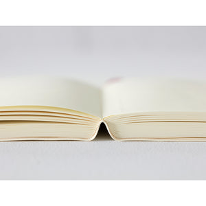 PRE ORDER: 2026 Midori MD Notebook Diary - 1 Day 1 Page - A5