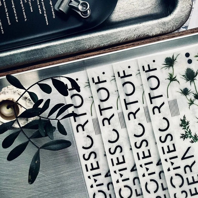 somesortof.fern Transfer Stickers - Botanical - Thistle & Fruit