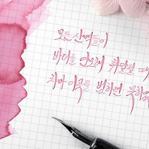 Wearingeul Fountain Pen Ink - Dizzy Scent of Maehwa - Lee Yuk Sa Literature Ink