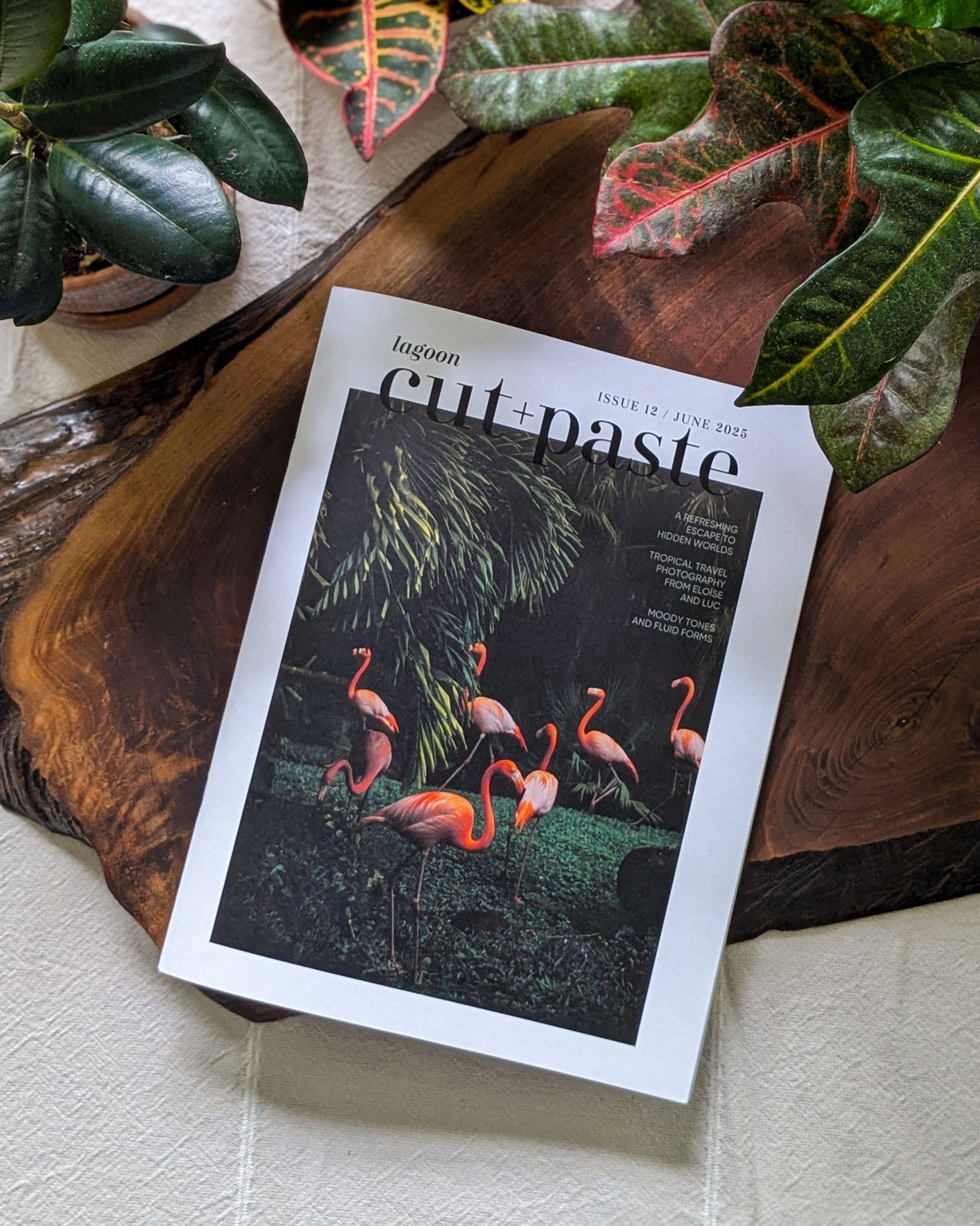 Cut+Paste Magazine - "Lagoon" - Issue 12