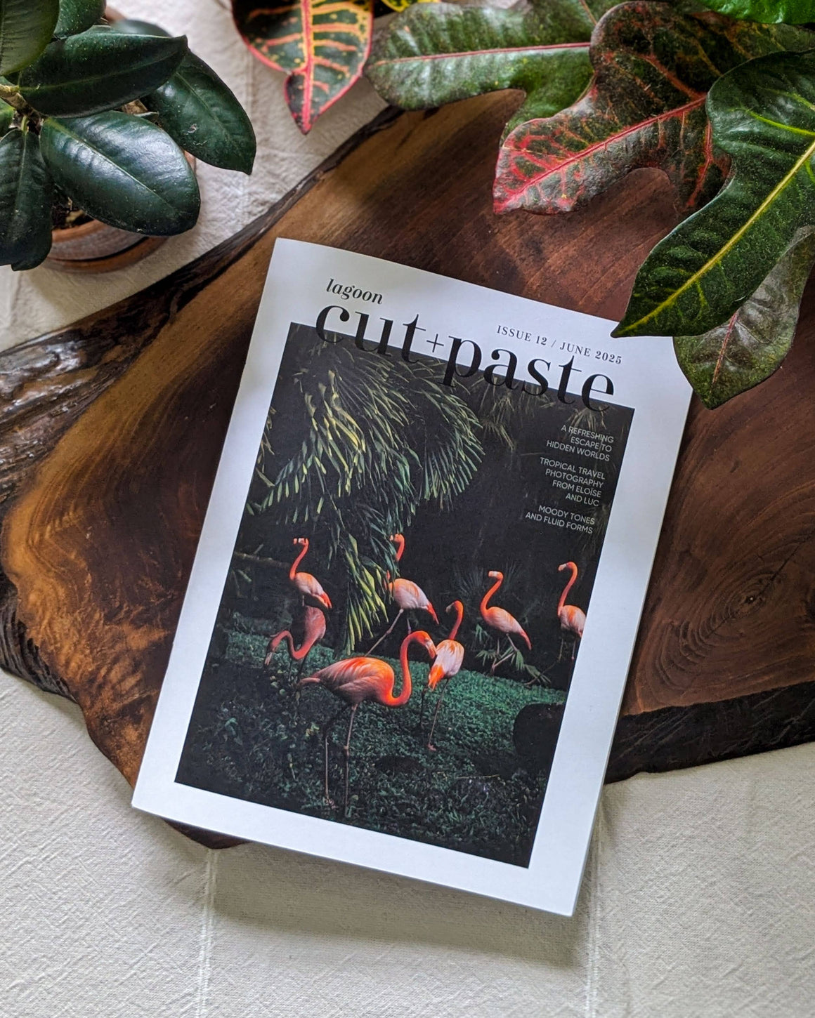Cut+Paste Magazine - "Lagoon" - Issue 12