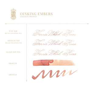 FerriTales - Fountain Pen Ink 10ml - The Three Little Pigs - Oinking Embers