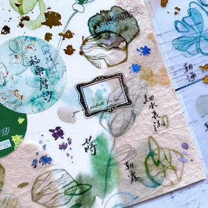 Shiwu Studio × Siyun 7.4cm Matte PET Tape - Latitude 23.5° North - Formosa