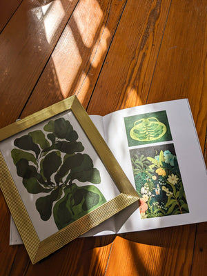 Cut+Paste Magazine - "Greenhouse" - Issue 07