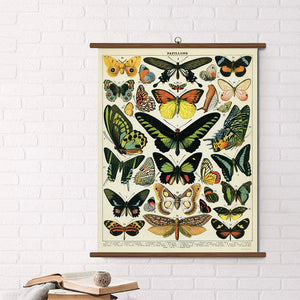Cavallini Vintage Design School Chart - Butterflies