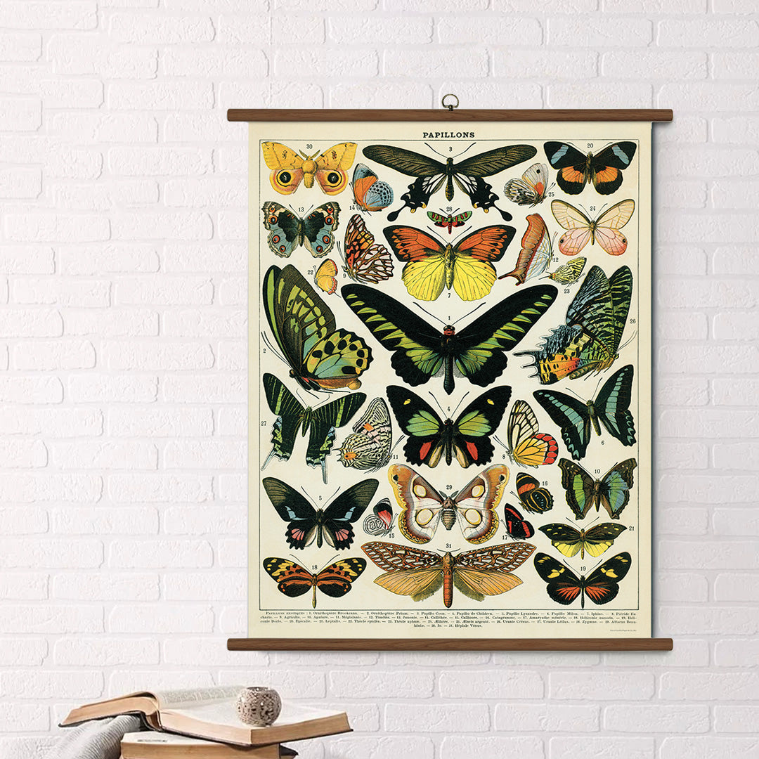 Cavallini Vintage Design School Chart - Butterflies