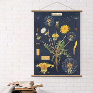 Cavallini Vintage Design School Chart - Dandelion