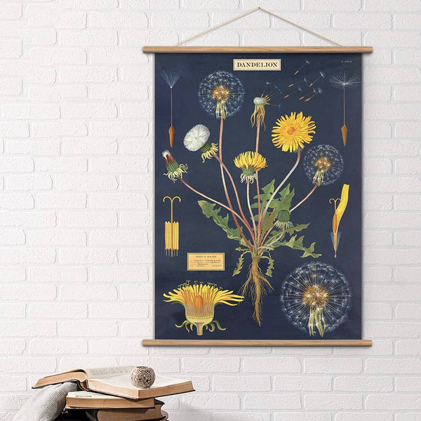 Cavallini Vintage Design School Chart - Dandelion - Paper Plus Cloth