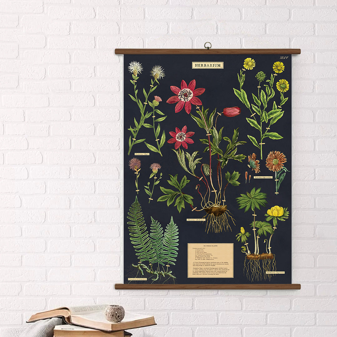 Cavallini Vintage Design School Chart - Herbarium