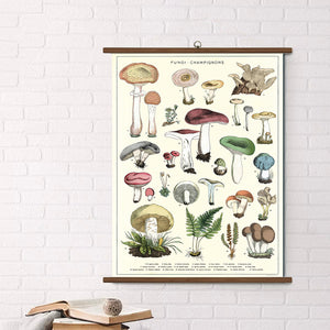 Cavallini Vintage Design School Chart - Mushroom