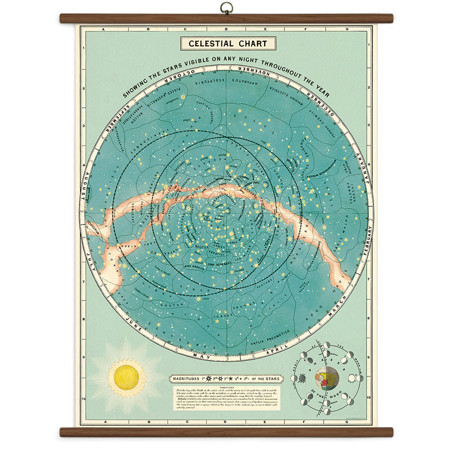 Cavallini Vintage Design School Chart - Celestial Chart
