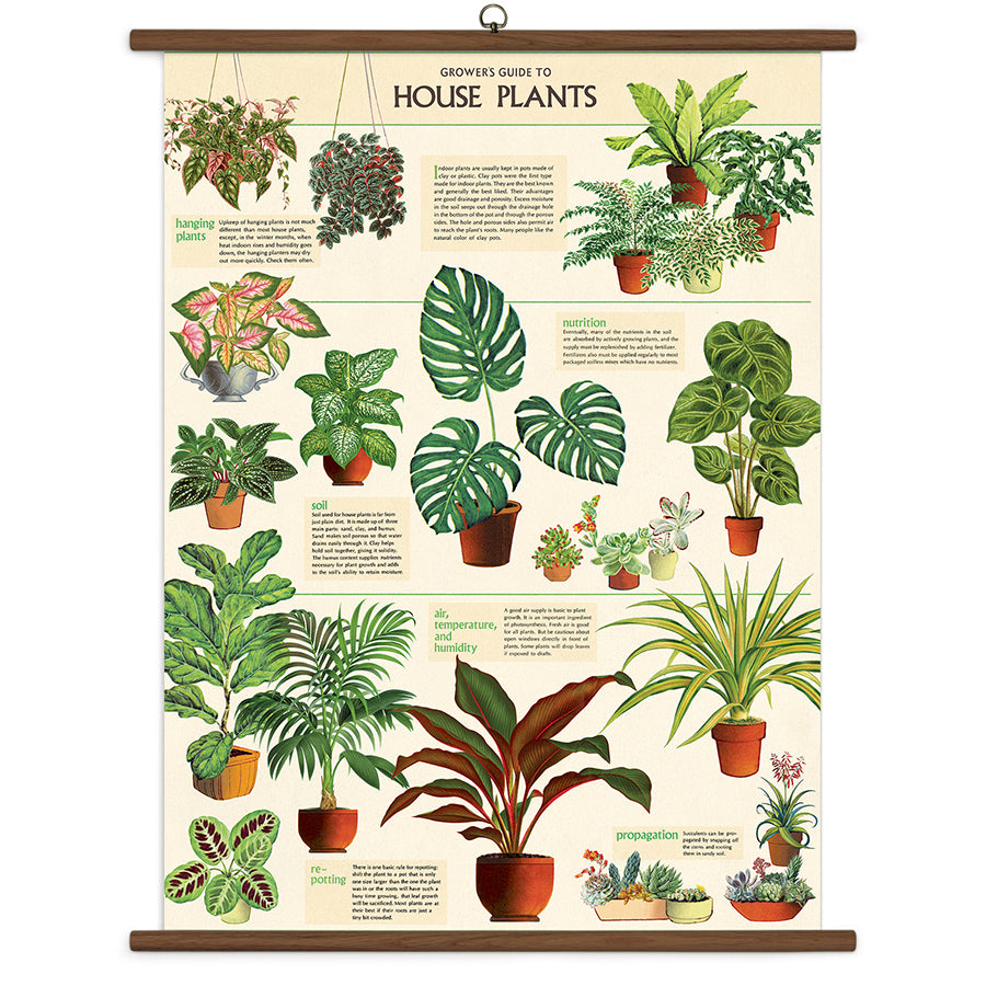 Cavallini Vintage Design School Chart - House Plants