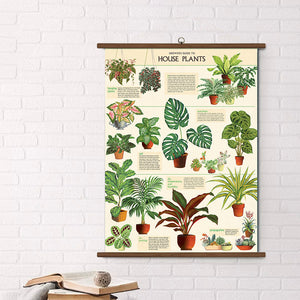 Cavallini Vintage Design School Chart - House Plants