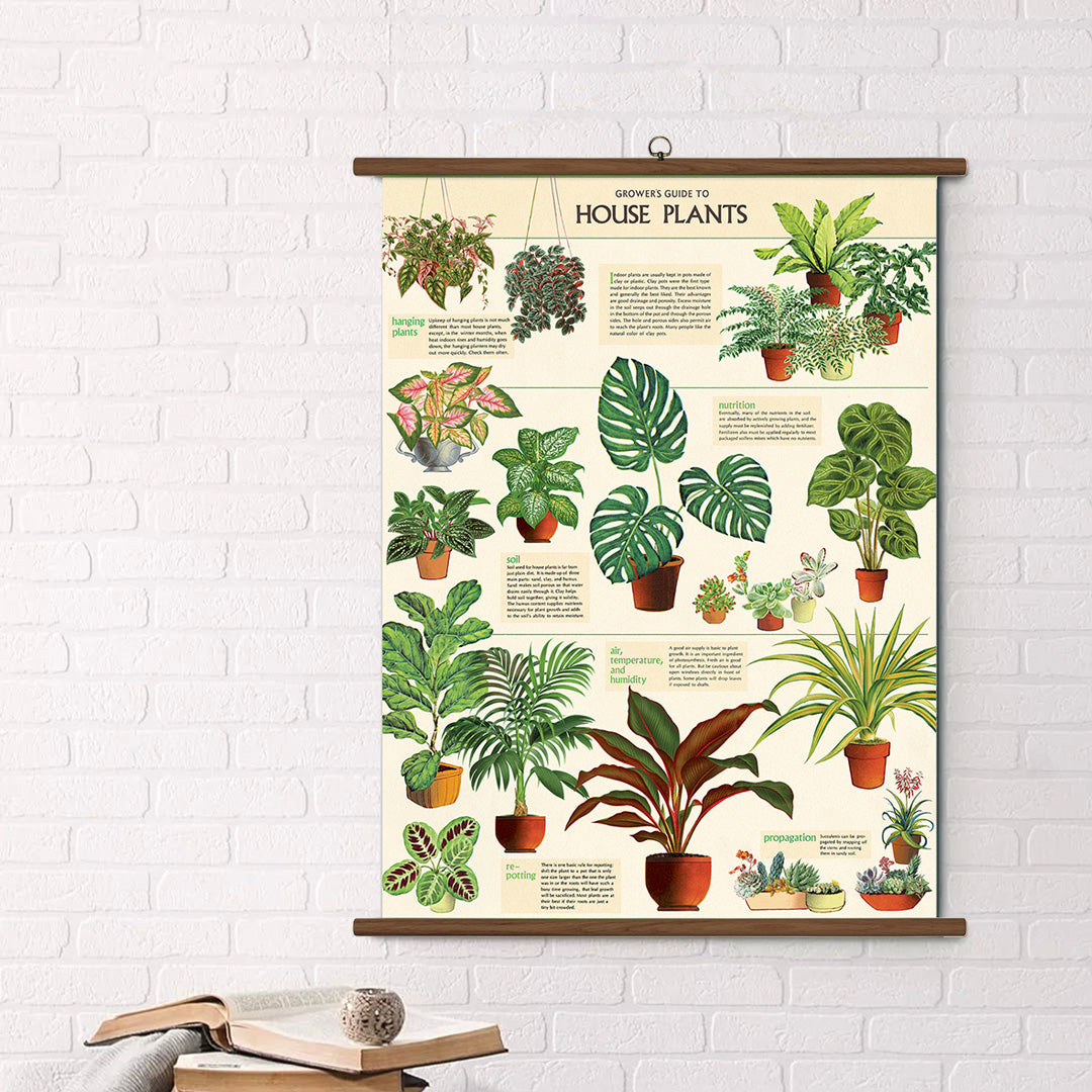 Cavallini Vintage Design School Chart - House Plants