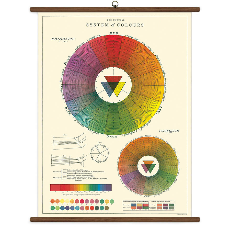 Cavallini Vintage Design School Chart - Color Wheel
