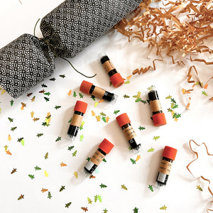 A Scriptus Workshop: Holiday Crackers with a Fountain Pen Twist!