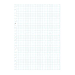 Kleid A5 Binder Refill Sheets - White 2mm Grid OK Fools