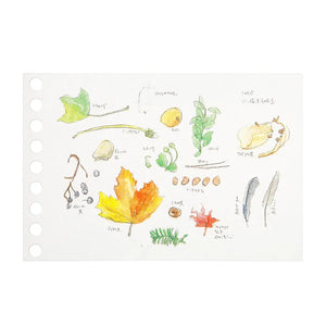 Maruman Loose Leaf - Mini Sketch Paper L1435