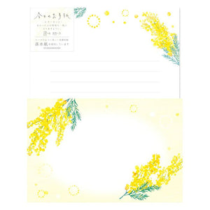 Furukawa Paper Co. Today's Letter Set - Soft Mimosa LLL469