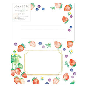 Furukawa Paper Co. Today's Letter Set - Berry LLL470