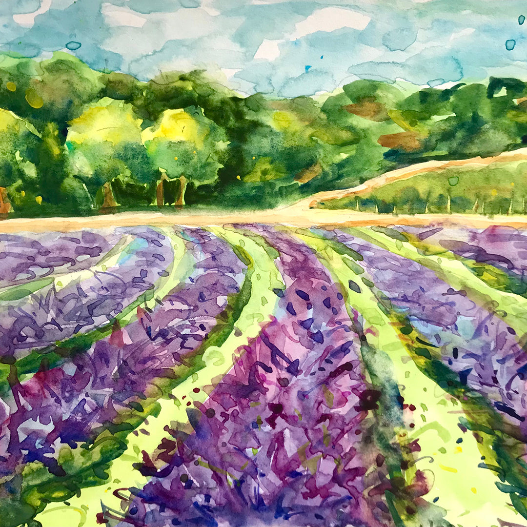 Lavender Fields - Watercolour Workshop