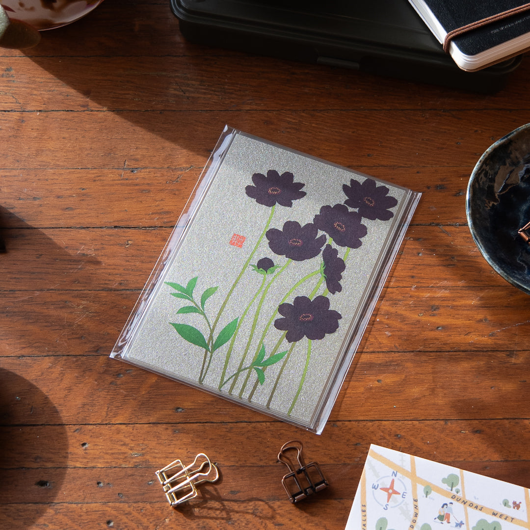 Midori Autum Postcard - Chocolate Cosmos 004