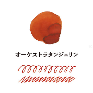 Guitar Fountain Pen Ink - Orchestra Tangerine