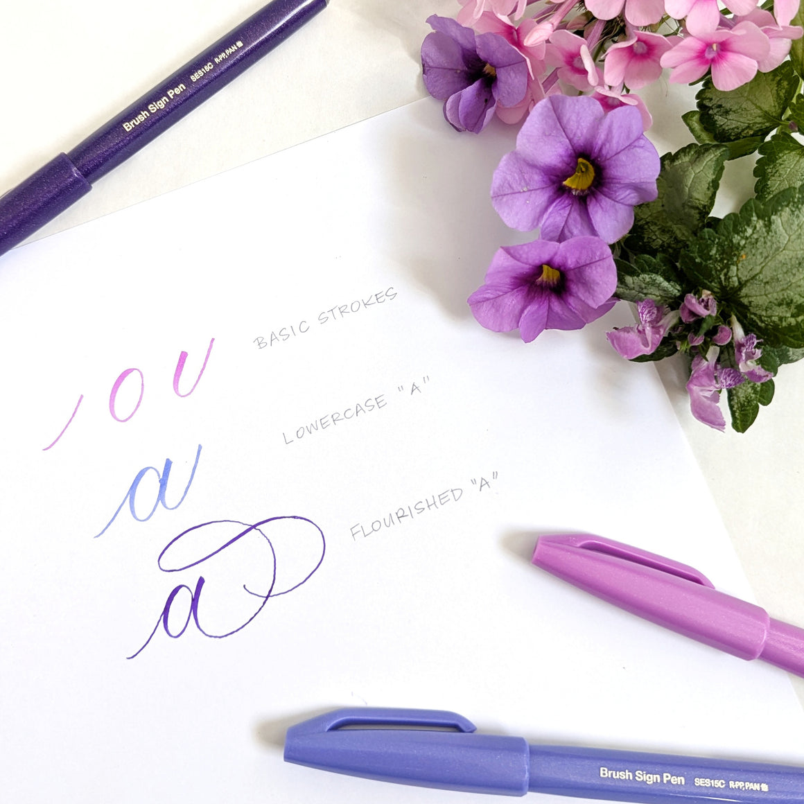 Intermediate Brush Calligraphy Workshop with EP Lettering