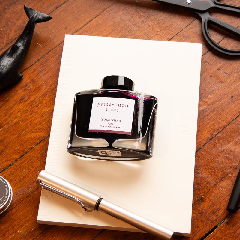 Pilot Iroshizuku Fountain Pen Ink - Yama-budo