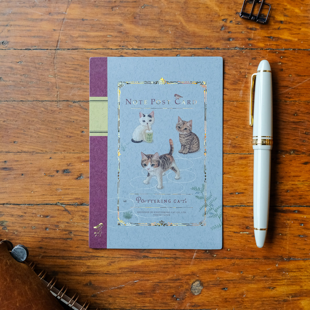 Pottering Cat - Notebook Style Postcard - Hopscotch