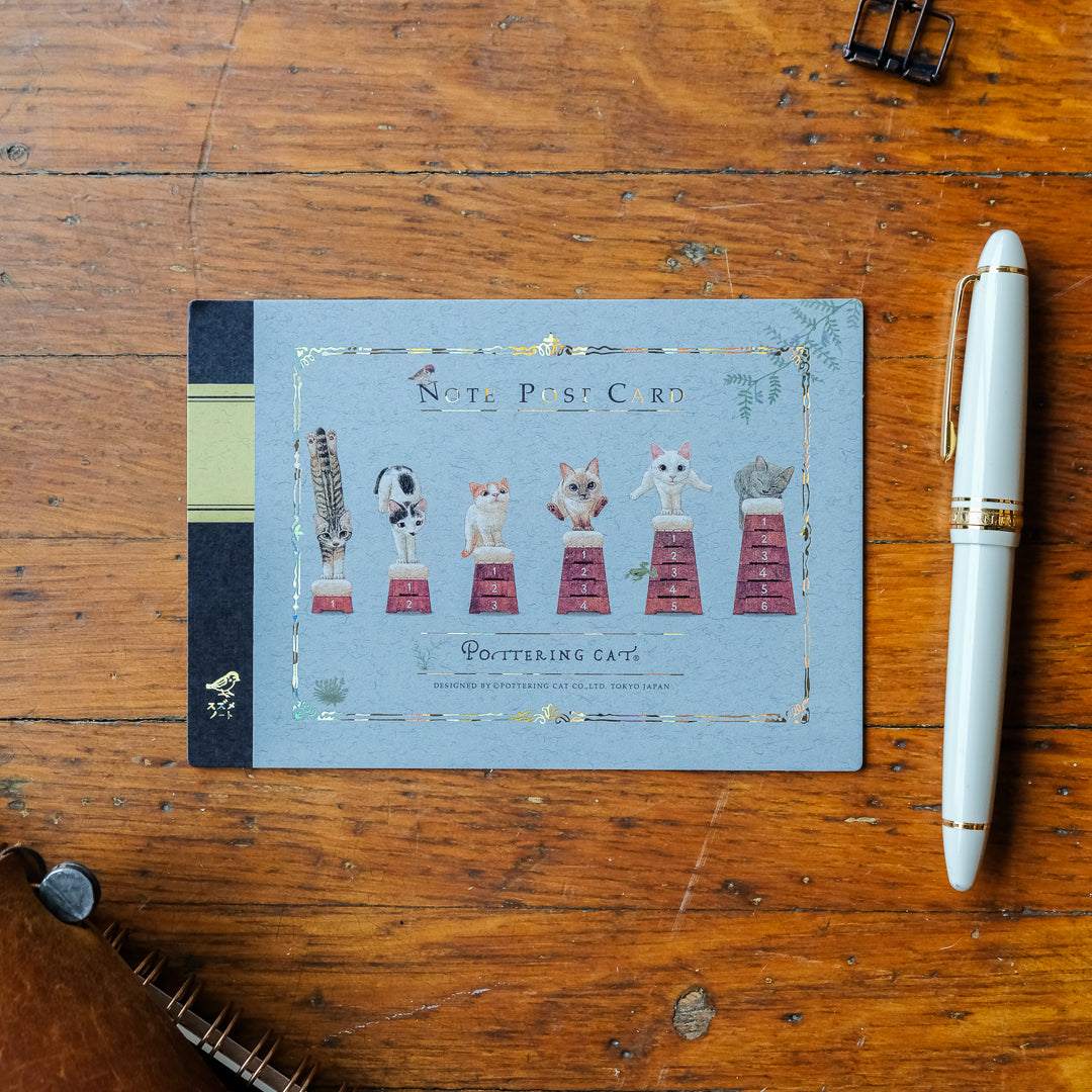 Pottering Cat - Notebook Style Postcard - Vaulting Box