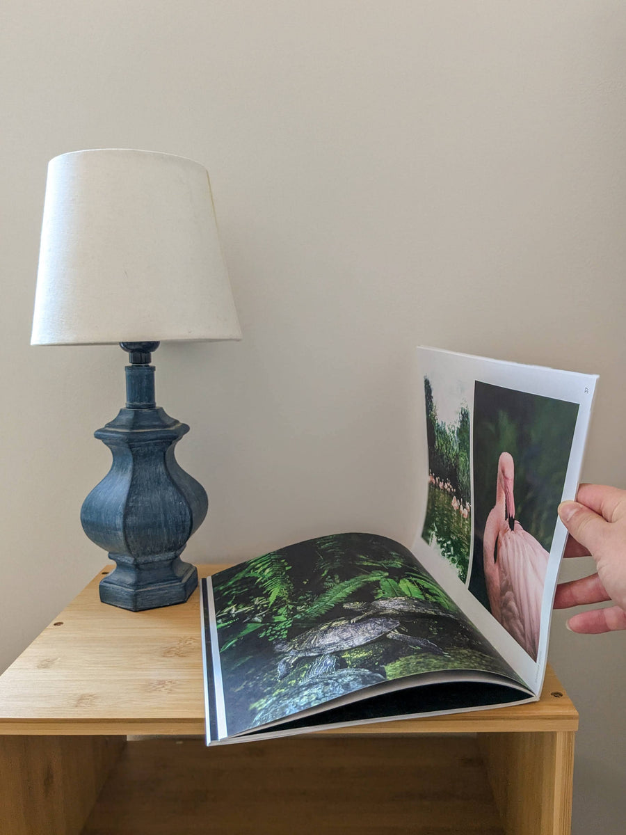 Cut+Paste Magazine - "Lagoon" - Issue 12