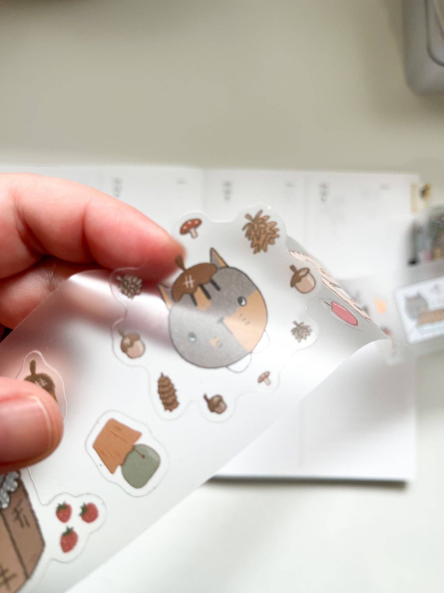 Kuboandlucy x Dana Ate Oatmeal - All Four Seasons Kiss Cut P.E.T Tape