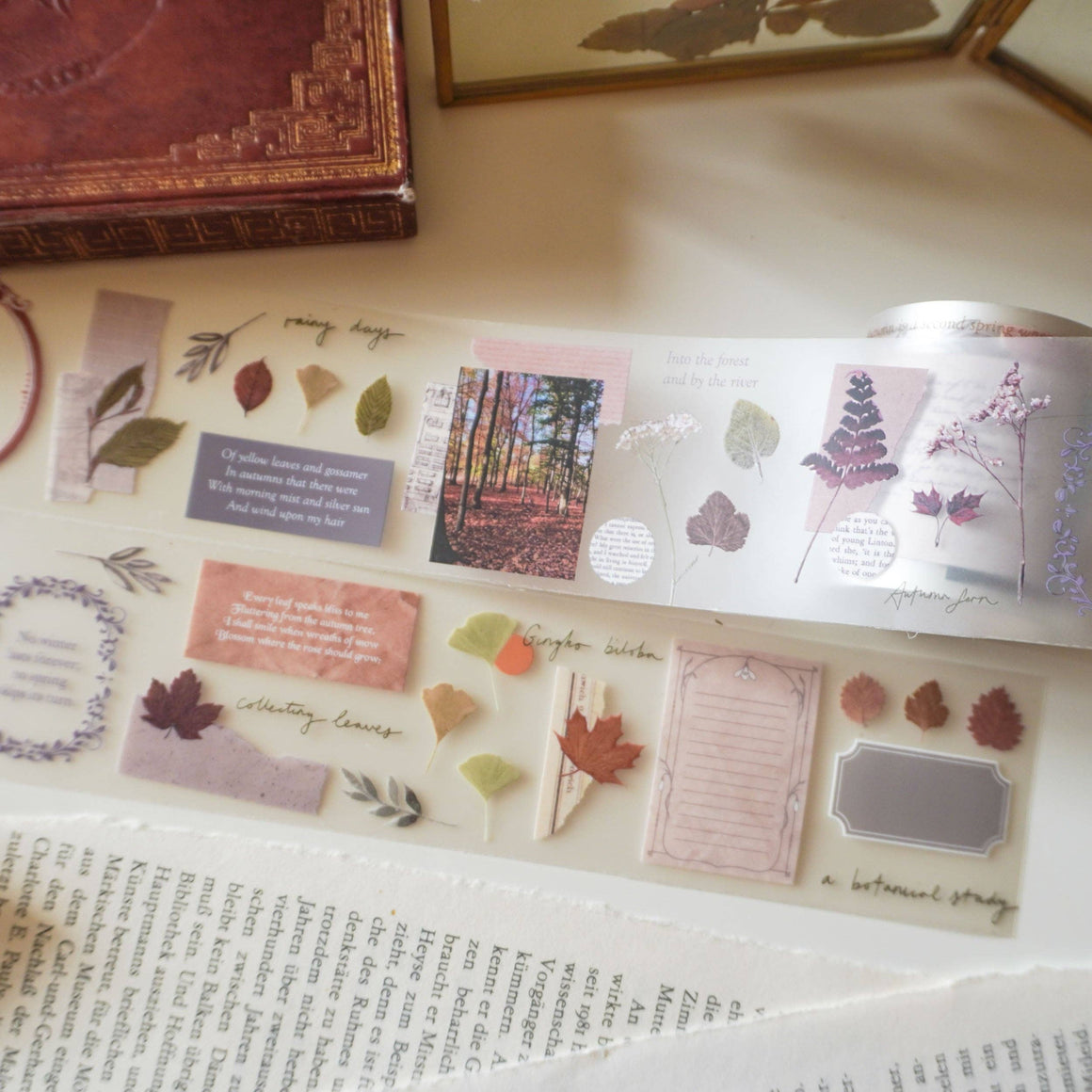 Note & Wish - Autumn Memento PET Tape