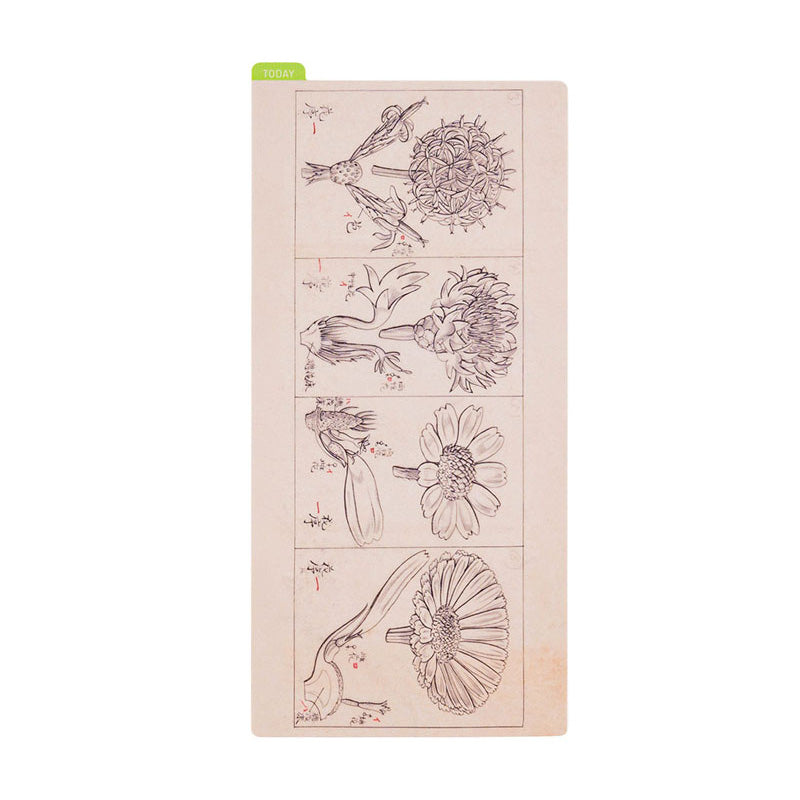 Late OCT Pre Order: 2024 Hobonichi Weeks Pencil Board - Tomitaro Makino