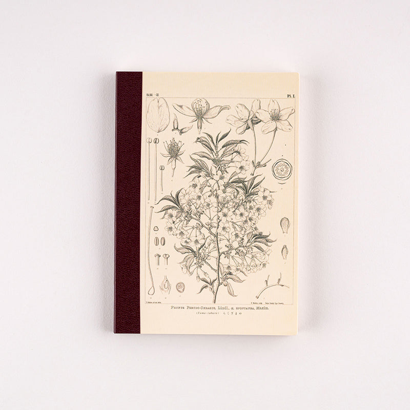 Hobonichi Accessories: A6 Graph Notebook - Tomitaro Makino Yamazakura