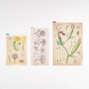 Late OCT Pre Order: 2024 Hobonichi Weeks Pencil Board - Tomitaro Makino