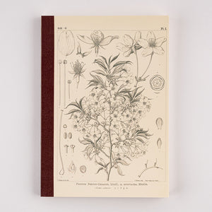Hobonichi Accessories: A5 Graph Notebook - Tomitaro Makino Yamazakura