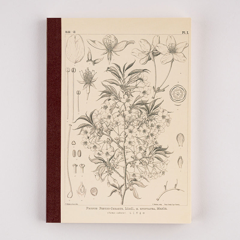Hobonichi Accessories: A5 Graph Notebook - Tomitaro Makino Yamazakura