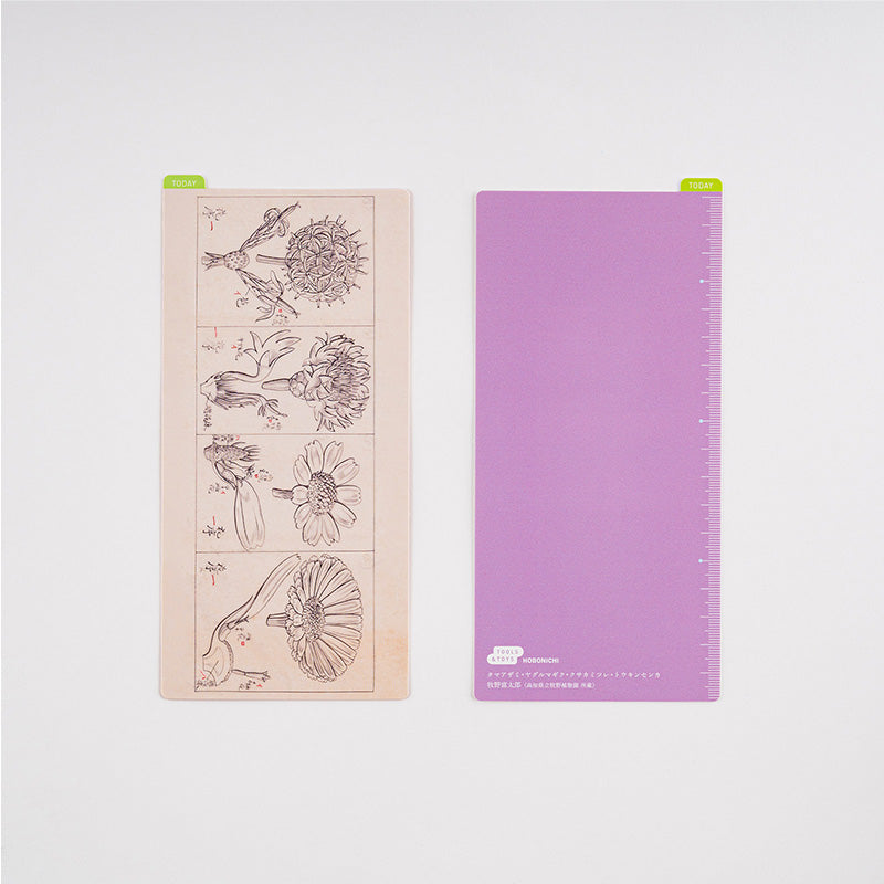 Late OCT Pre Order: 2024 Hobonichi Weeks Pencil Board - Tomitaro Makino