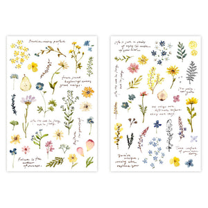 Pion - Sticker Transfer - Flower and Plants