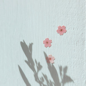 Suatelier Mini Series Stickers - 106 Flower 01