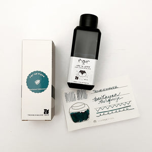 Troublemaker Standard Fountain Pen Ink 60ml Bottle - Bantayan Turquoise