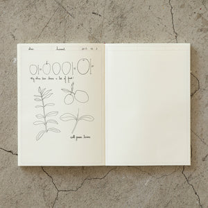 Midori MD Notebook - A5 Frame Journal