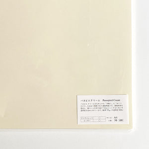 Yamamoto Paper A4 Loose Paper Packs - Passepied Cream 66.3g 50pk